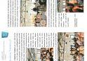 Artikel 07 25 AZURIT Hausbrief 2